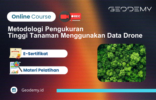 Metodologi Pengukuran Tinggi Tanaman Menggunakan Data Drone 