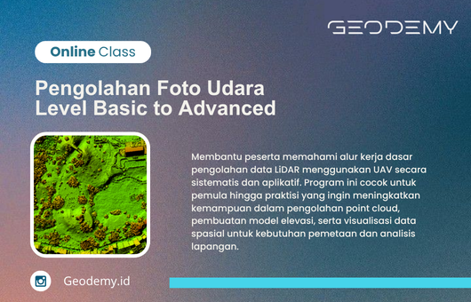 Pengolahan Foto Udara : Level Basic to Advanced